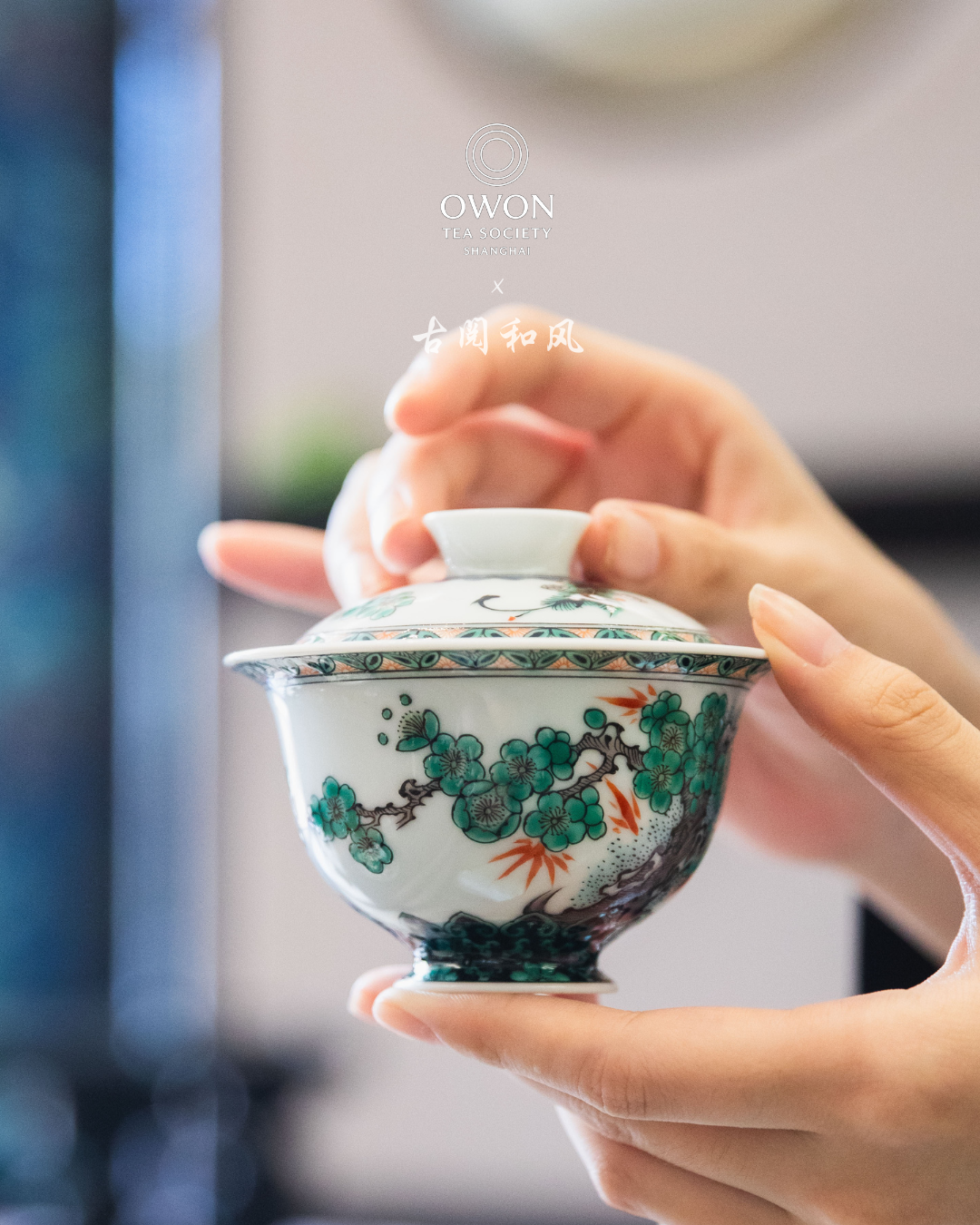 경덕진 고채 명요_고열화풍 고채(古彩) 소나무 개완_玗琪轩_Gaiwan from Jingdezhen Kiln GU YUE HUA FENG
