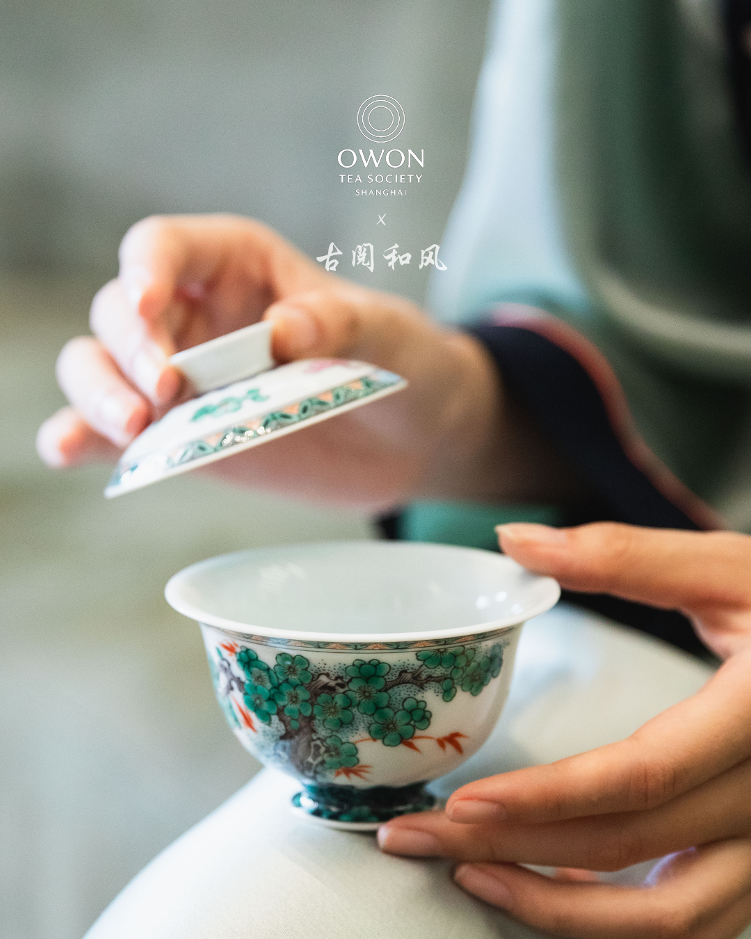 경덕진 고채 명요_고열화풍 고채(古彩) 소나무 개완_玗琪轩_Gaiwan from Jingdezhen Kiln GU YUE HUA FENG